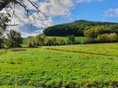 casa indipendente in vendita a Castelfiorentino in zona Dogana