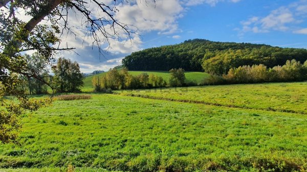 casa indipendente in vendita a Castelfiorentino in zona Dogana