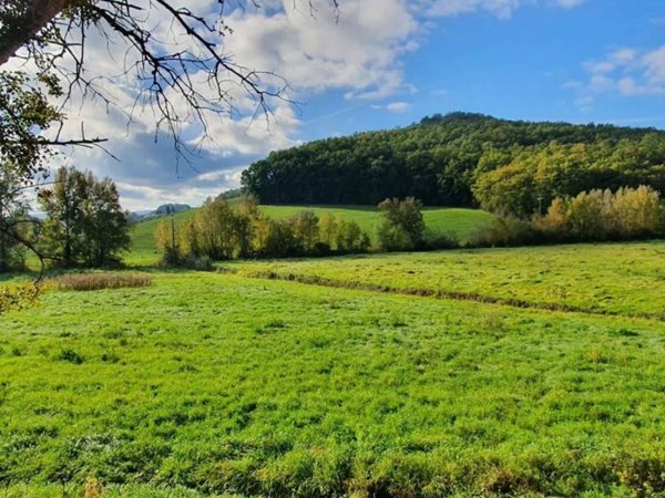 casa indipendente in vendita a Castelfiorentino in zona Dogana