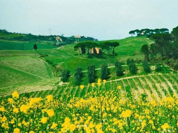 casa indipendente in vendita a Castelfiorentino