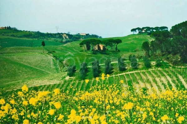 casa indipendente in vendita a Castelfiorentino in zona Cambiano