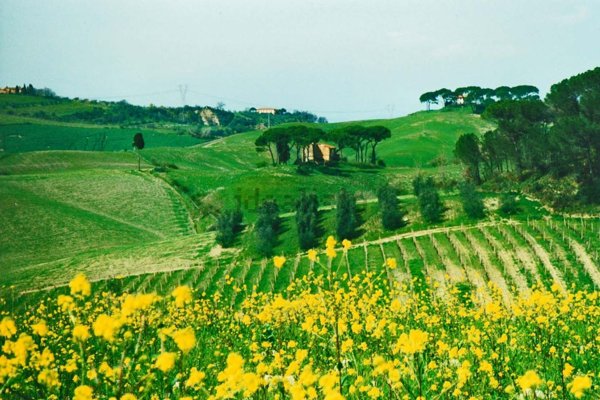 casale in vendita a Castelfiorentino