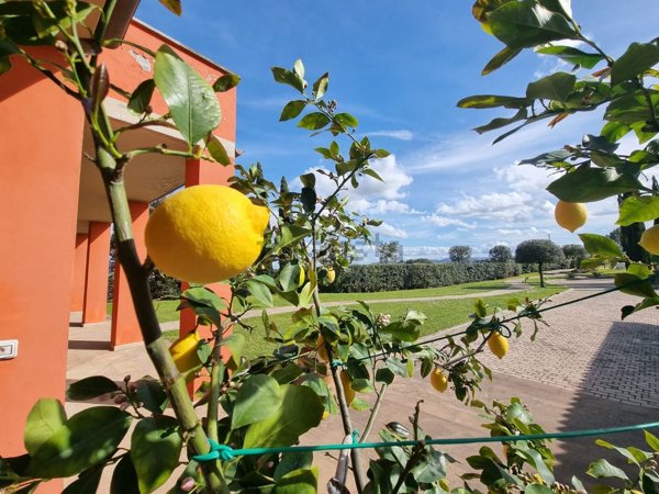 casa indipendente in vendita a Castelfiorentino