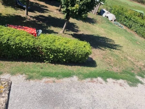 appartamento in vendita a Castelfiorentino in zona Dogana