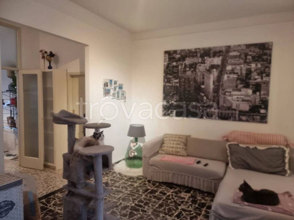 appartamento in vendita a Castelfiorentino in zona Castelnuovo d'Elsa