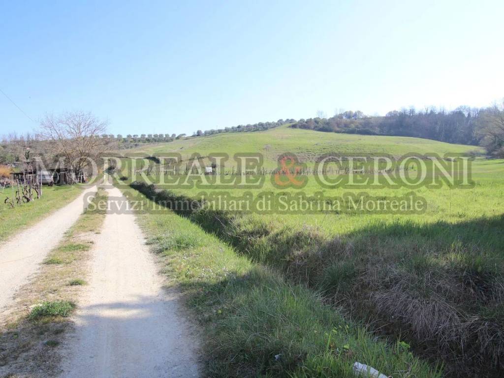 terreno agricolo in vendita a Castelfiorentino