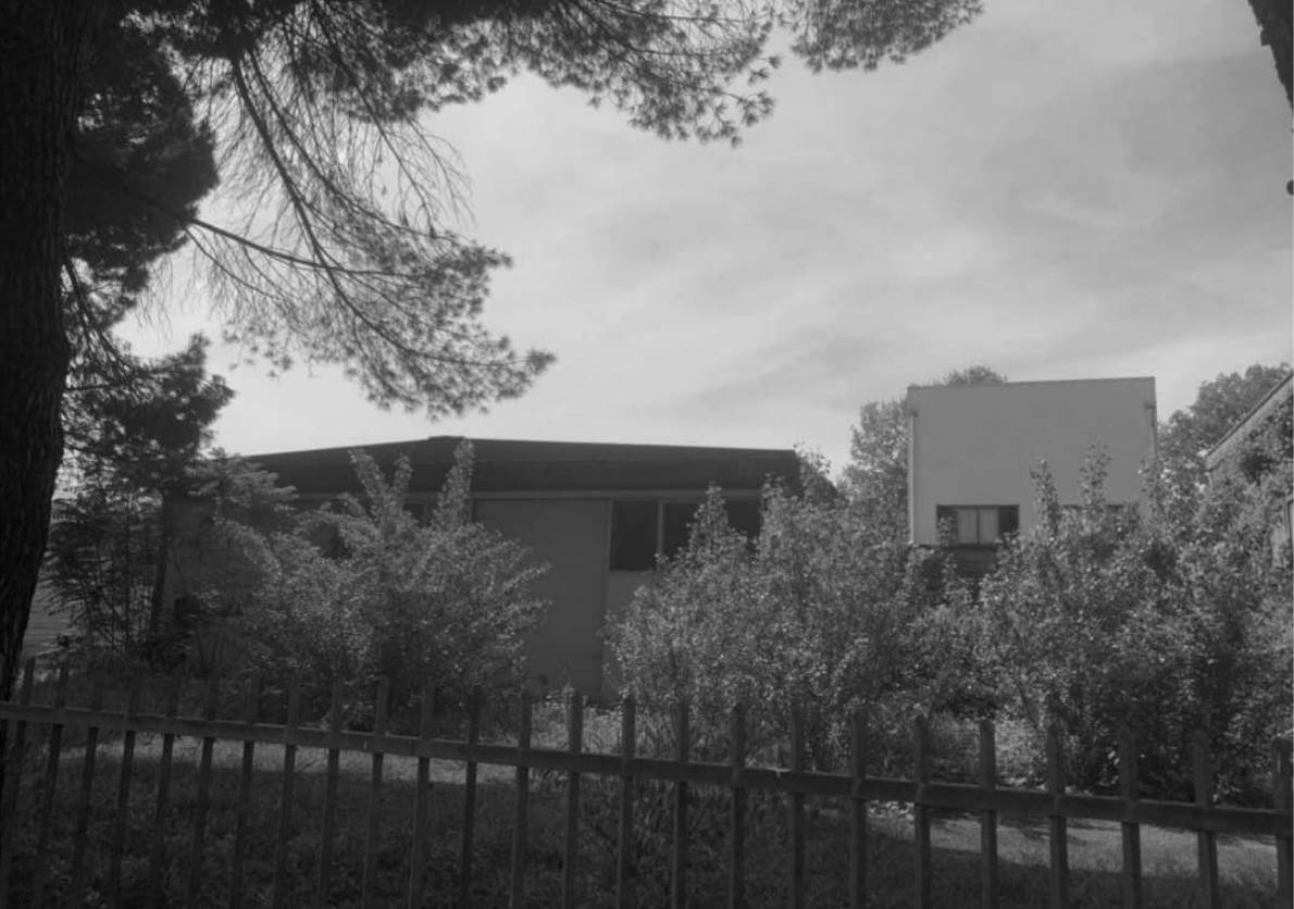 terreno agricolo in vendita a Castelfiorentino