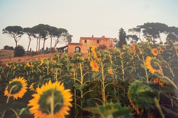 casale in vendita a Castelfiorentino