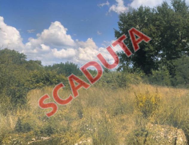 terreno agricolo in vendita a Castelfiorentino