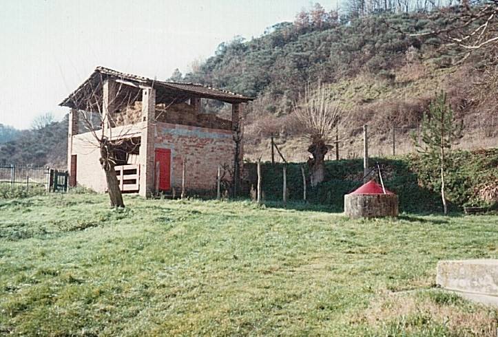 azienda agricola in vendita a Castelfiorentino in zona Castelnuovo d'Elsa