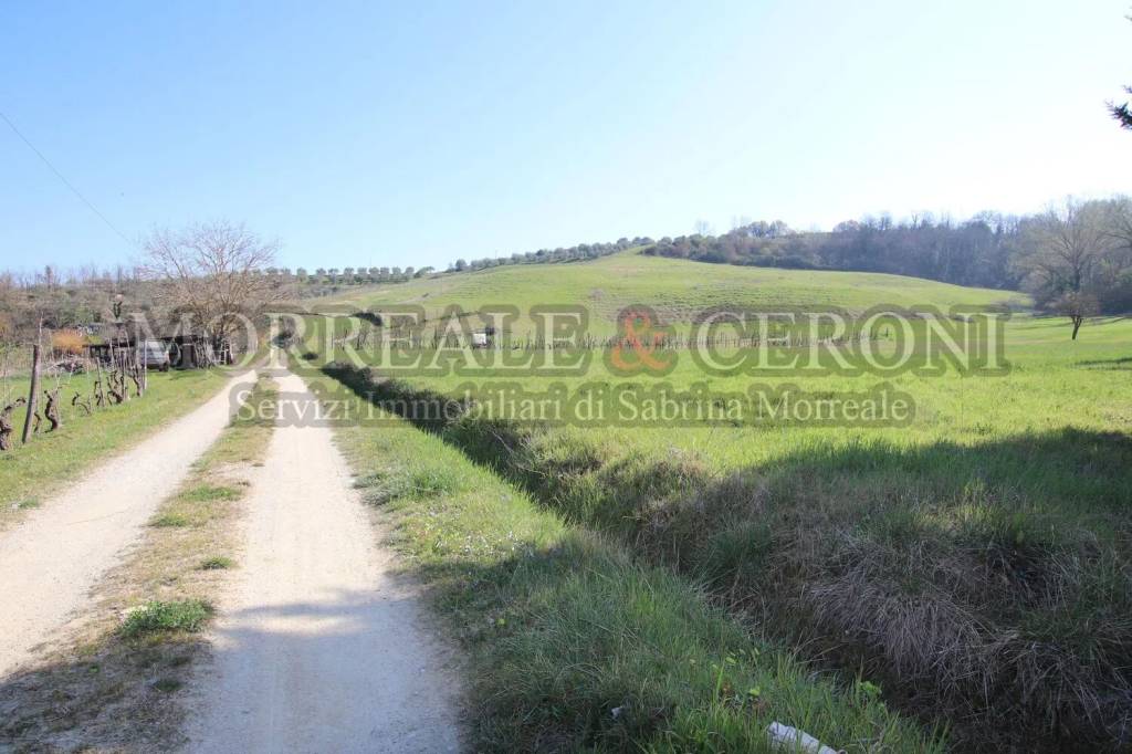 terreno agricolo in vendita a Castelfiorentino