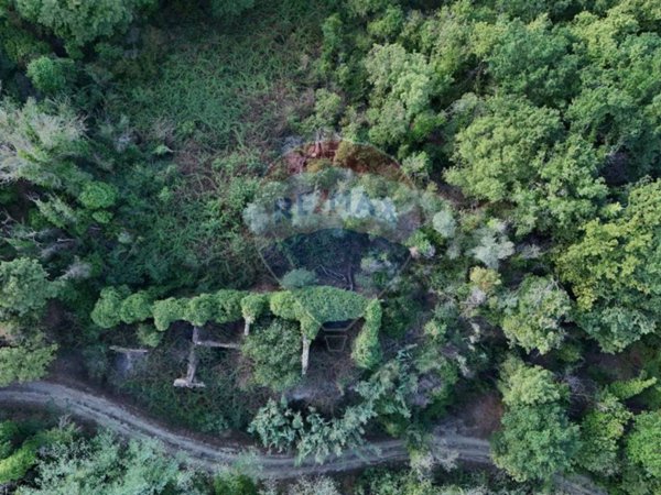 casale in vendita a Castelfiorentino