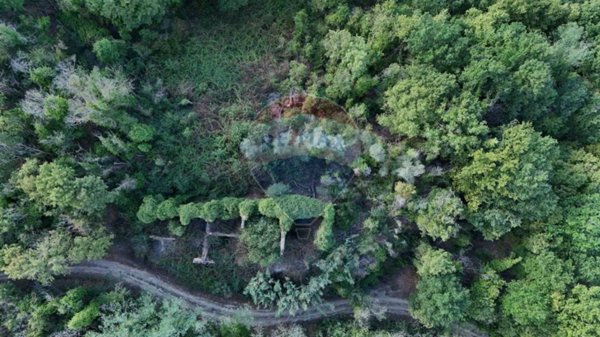 casale in vendita a Castelfiorentino
