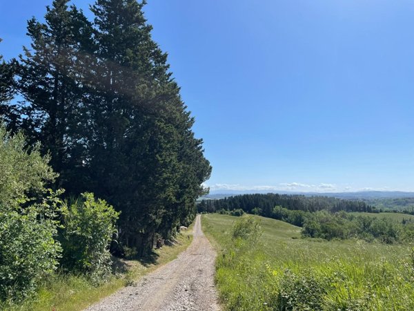azienda agricola in vendita a Castelfiorentino