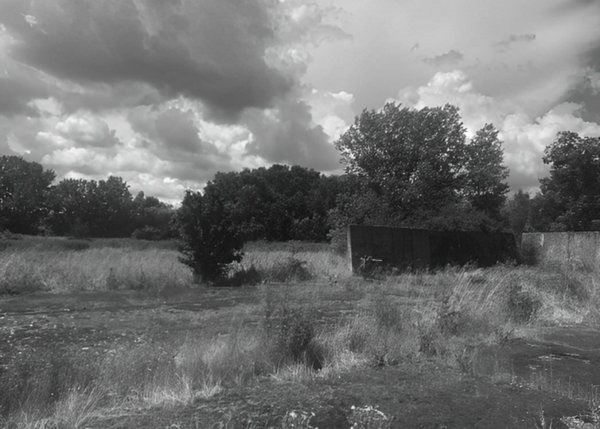 casa indipendente in vendita a Castelfiorentino