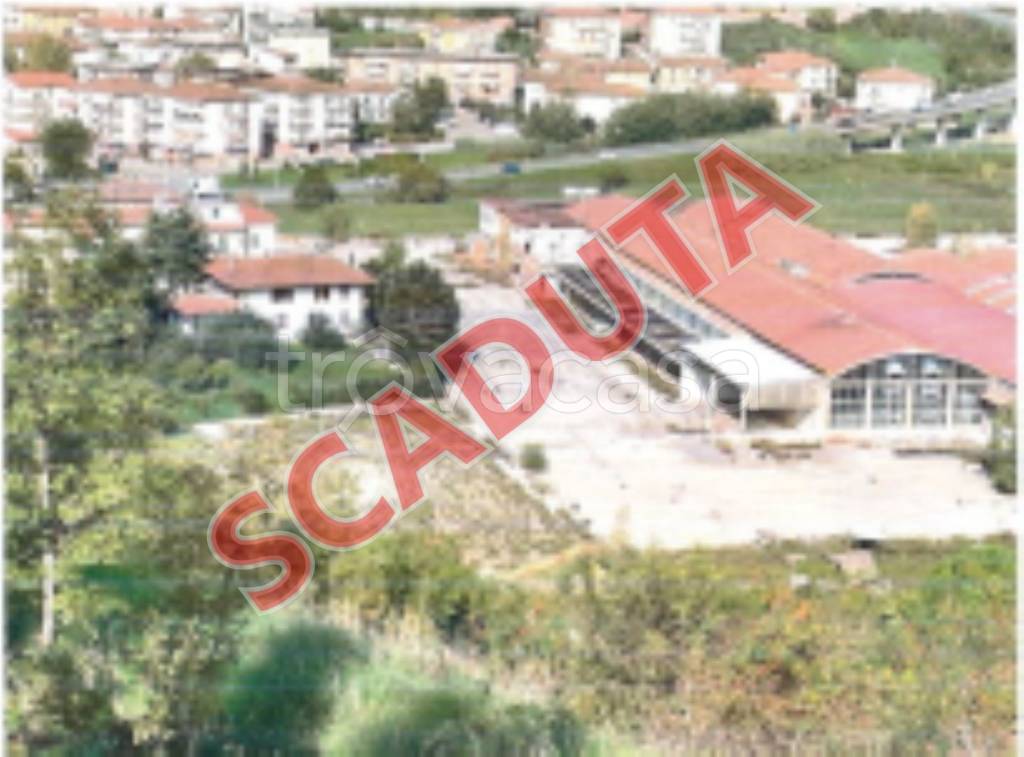 terreno agricolo in vendita a Castelfiorentino