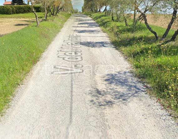 terreno agricolo in vendita a Castelfiorentino