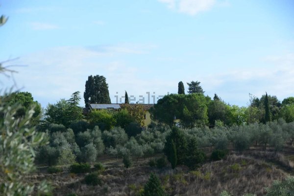 appartamento in vendita a Castelfiorentino