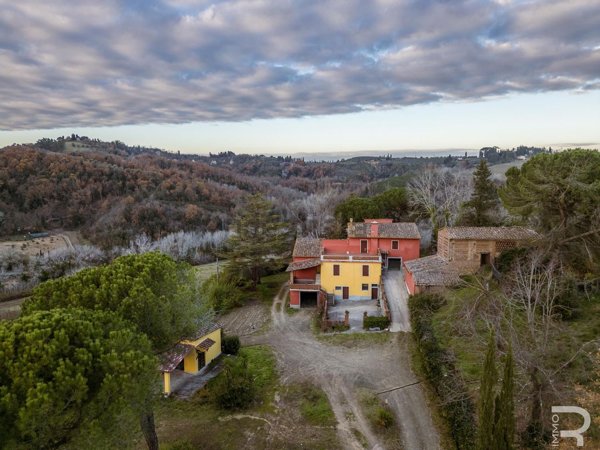 azienda agricola in vendita a Castelfiorentino
