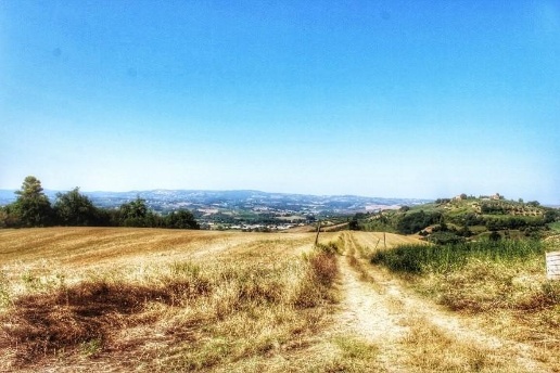 casa indipendente in vendita a Castelfiorentino