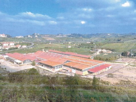 terreno edificabile in vendita a Castelfiorentino