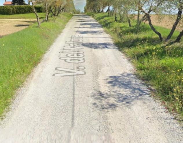 terreno agricolo in vendita a Castelfiorentino