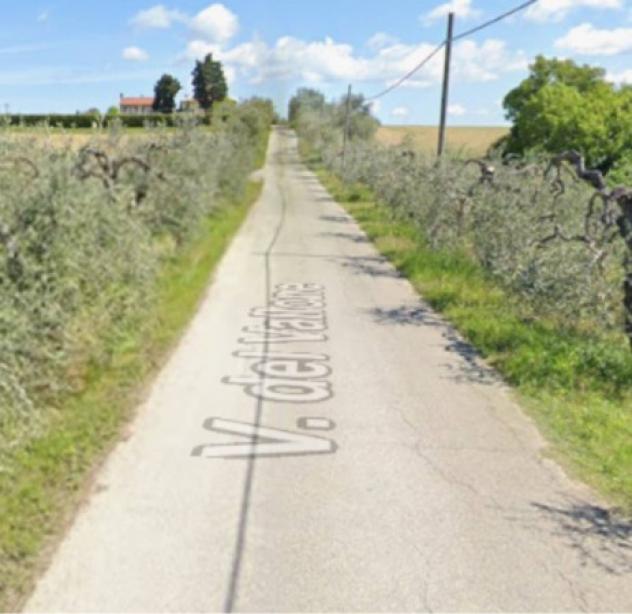 terreno agricolo in vendita a Castelfiorentino