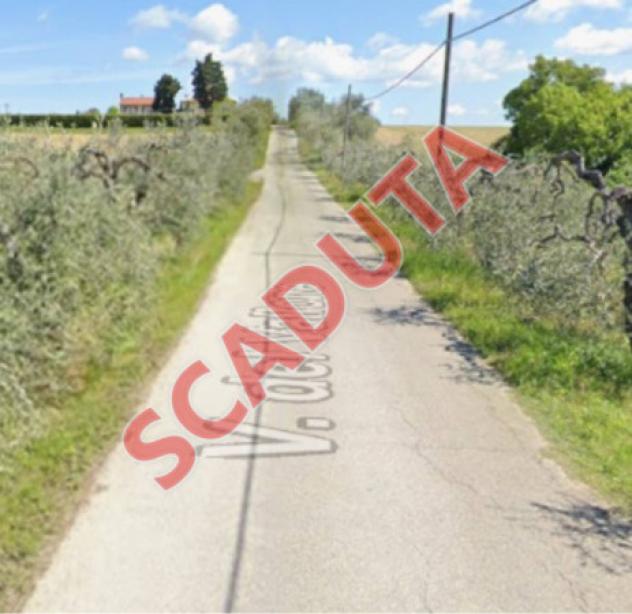 terreno agricolo in vendita a Castelfiorentino