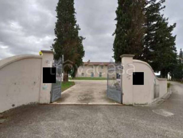 negozio in vendita a Castelfiorentino