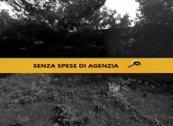 casa indipendente in vendita a Castelfiorentino