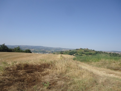 casale in vendita a Castelfiorentino