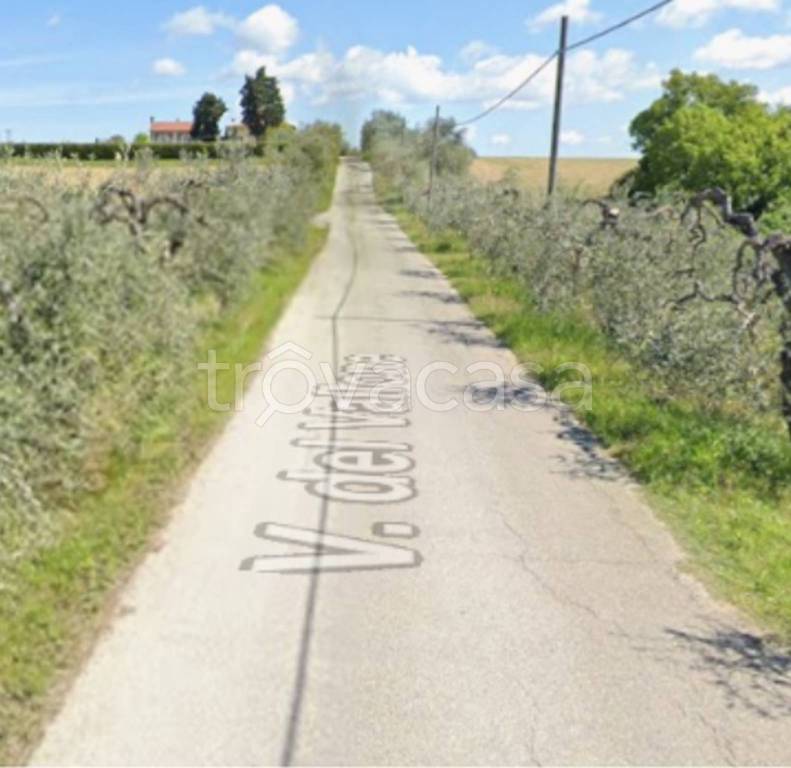 terreno agricolo in vendita a Castelfiorentino
