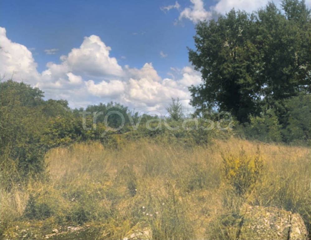 terreno agricolo in vendita a Castelfiorentino