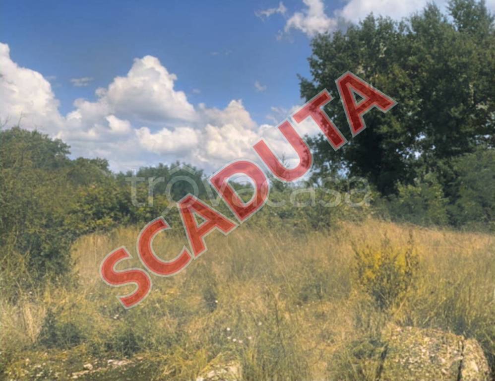 immagine annuncio 0 di 11