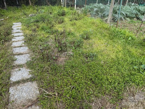 appartamento in vendita a Castelfiorentino