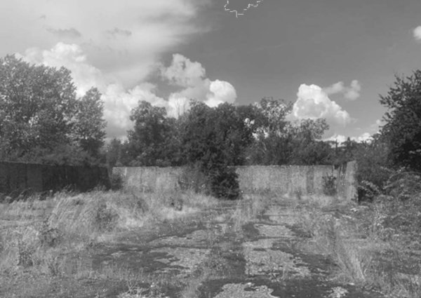 terreno agricolo in vendita a Castelfiorentino