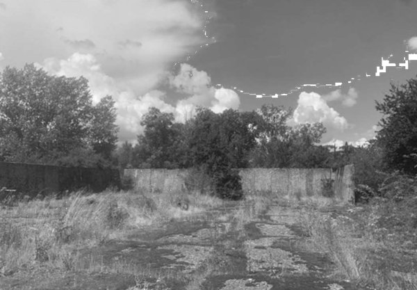 terreno agricolo in vendita a Castelfiorentino
