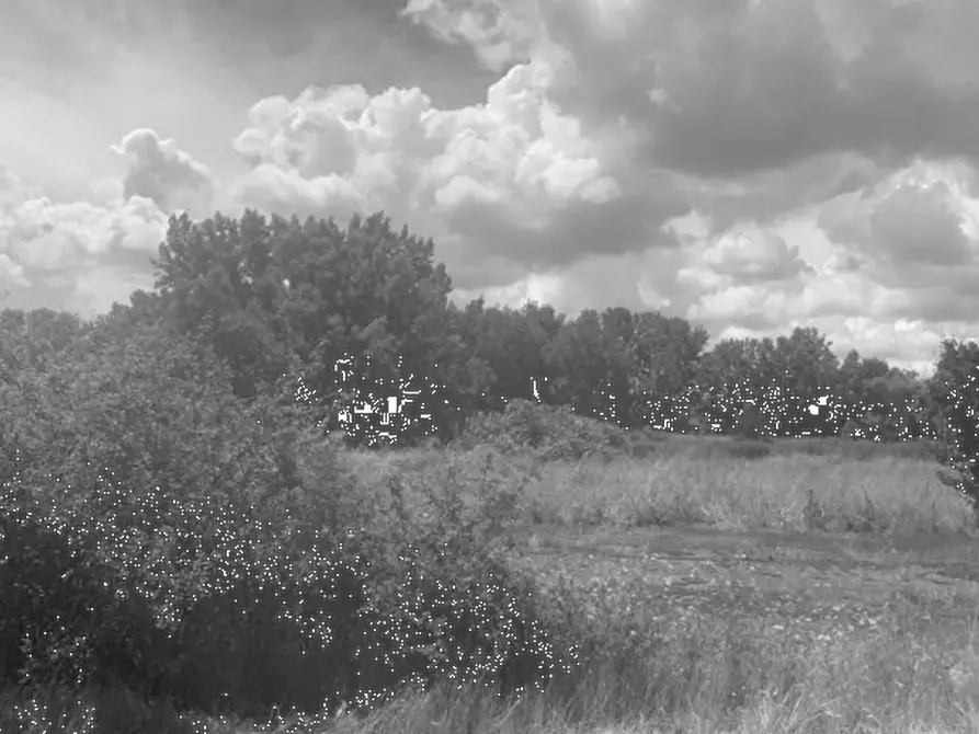terreno agricolo in vendita a Castelfiorentino