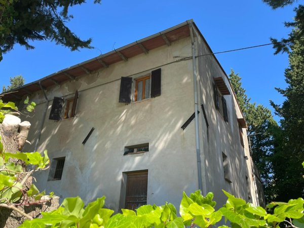 azienda agricola in vendita a Castelfiorentino