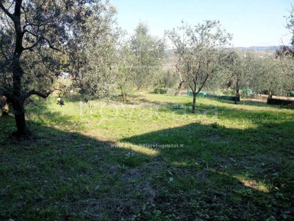 terreno edificabile in vendita a Castelfiorentino