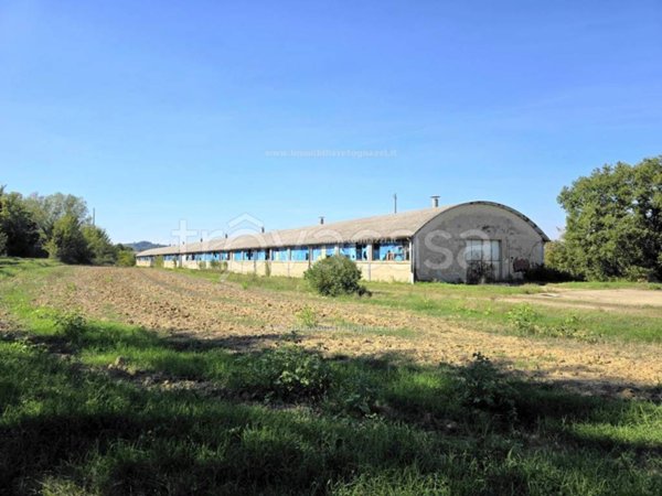 casa indipendente in vendita a Castelfiorentino in zona Castelnuovo d'Elsa