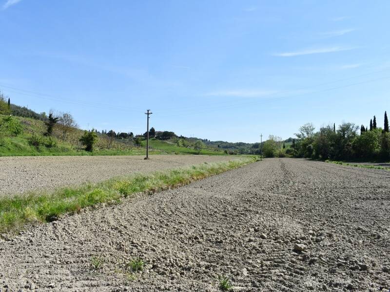 terreno agricolo in vendita a Castelfiorentino