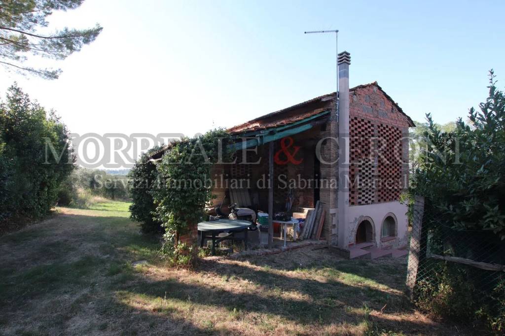 terreno agricolo in vendita a Castelfiorentino