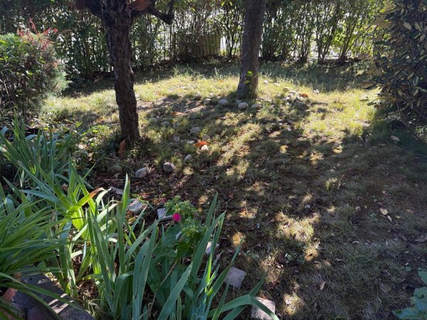 appartamento in vendita a Castelfiorentino in zona Cambiano