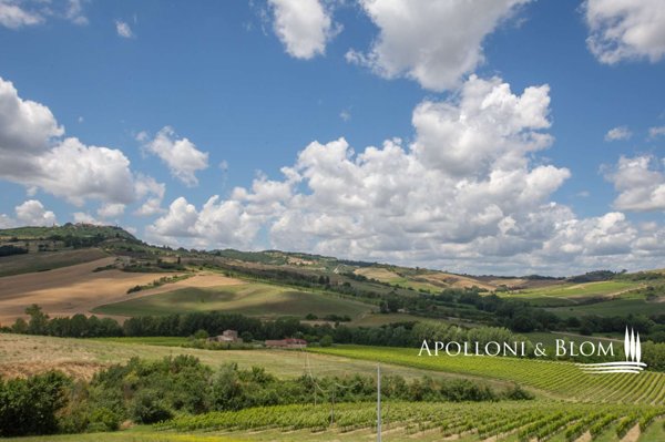 casa indipendente in vendita a Castelfiorentino
