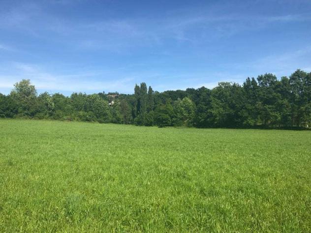 terreno agricolo in vendita a Cerreto Guidi in zona Bassa