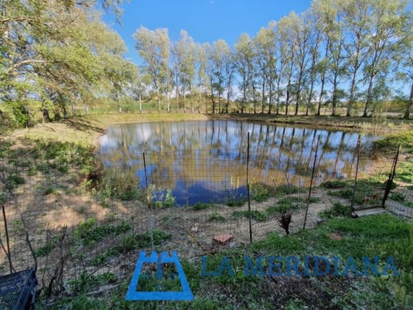 terreno agricolo in vendita a Cerreto Guidi