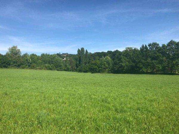 terreno agricolo in vendita a Cerreto Guidi in zona Bassa