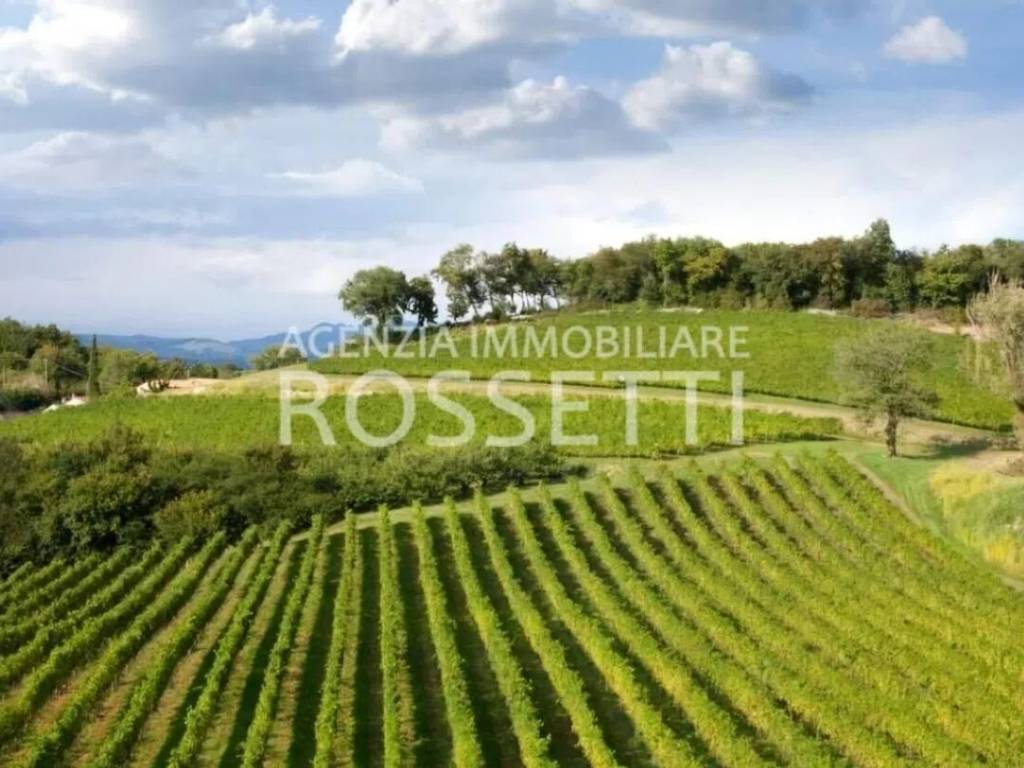 terreno agricolo in vendita a Cerreto Guidi