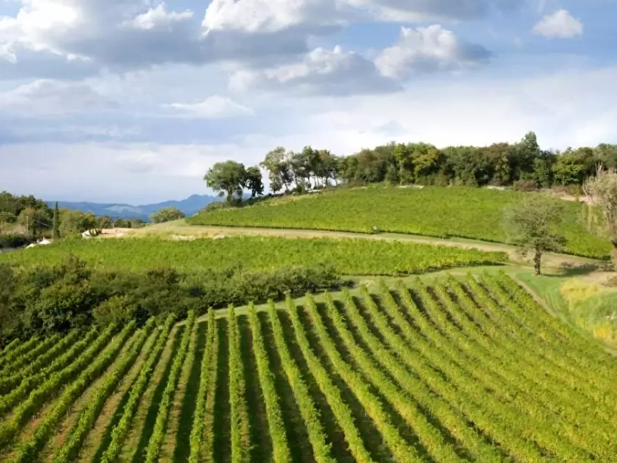 terreno agricolo in vendita a Cerreto Guidi